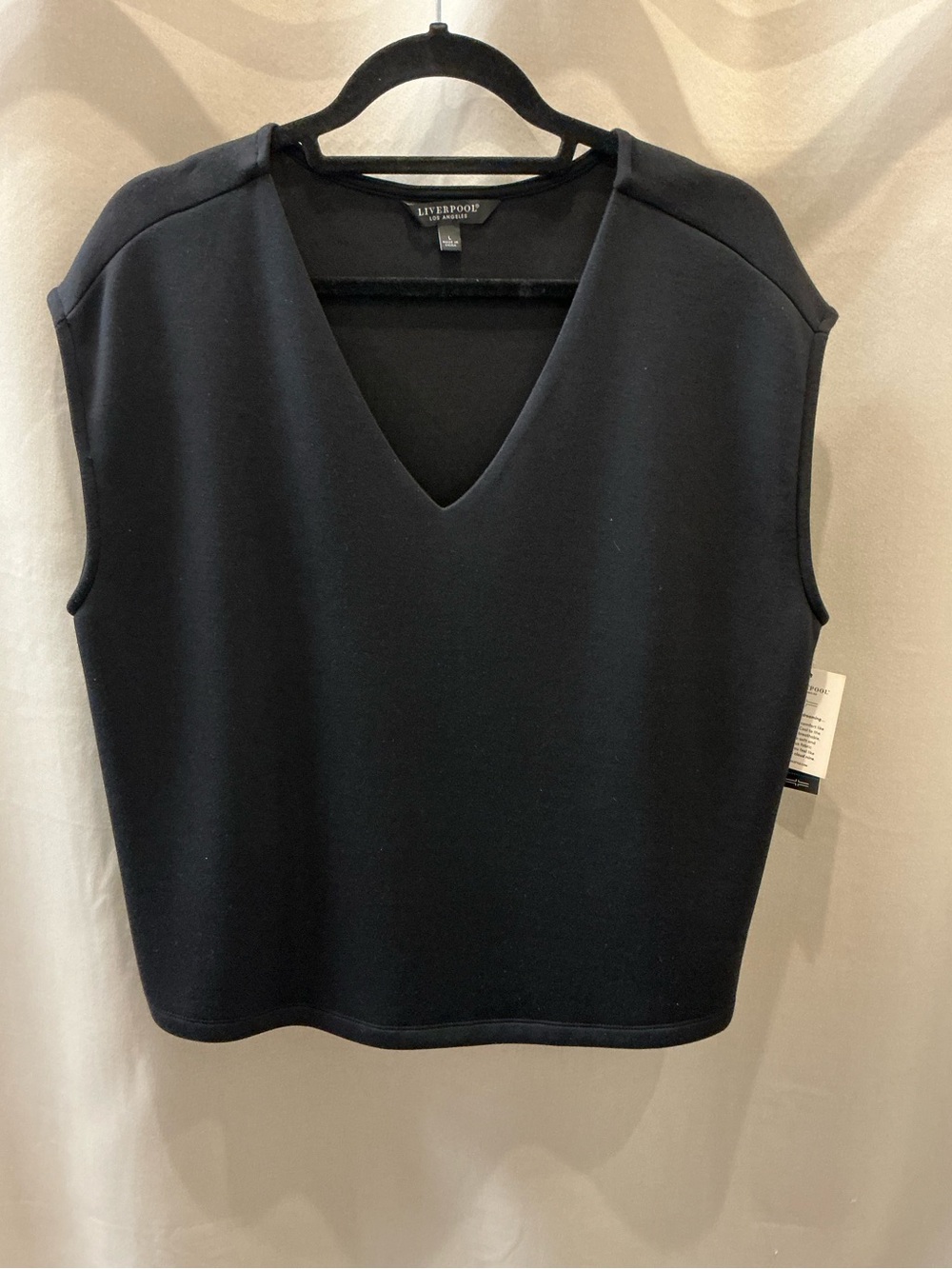 Liverpool Dolman Sleeve V-neck Top Black